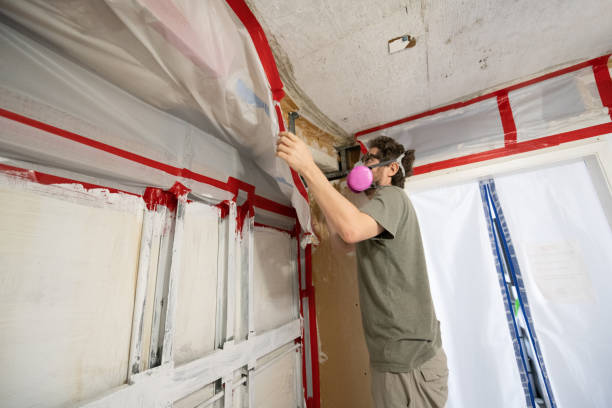 Mold Remediation for Rental Properties in Lovelock, NV